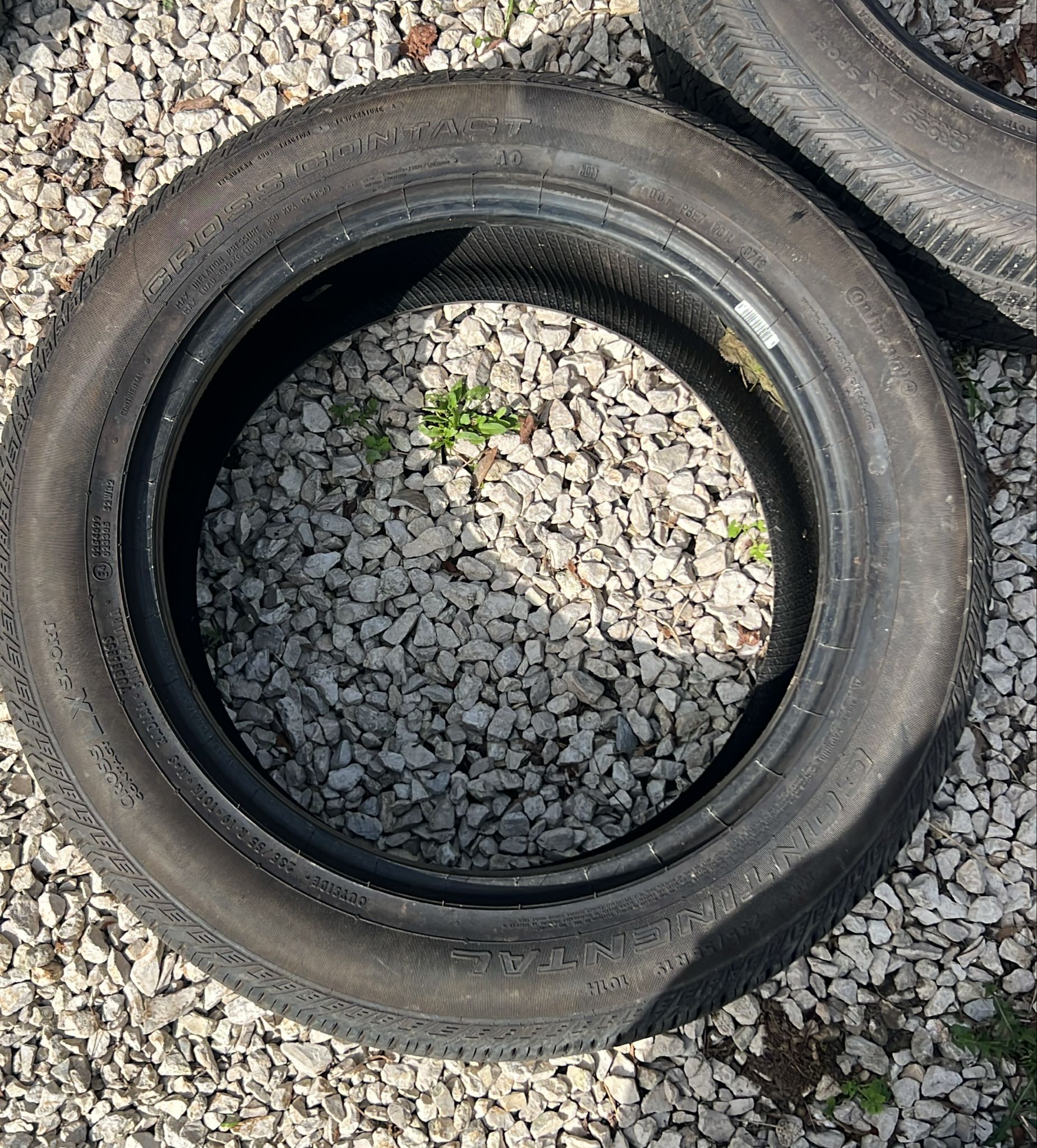 Continental I00059