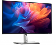 DELL Monitor P2725HE