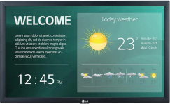 LG Electronics 22SM3G