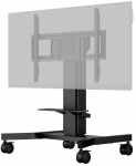 iiyama TLIIYLAMDCA1021