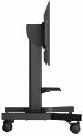 iiyama TLIIYLAMDCA1021