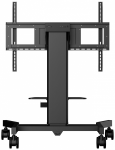 iiyama TLIIYLAMDCA1021