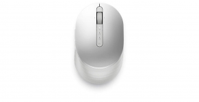 DELL UMDELRBM0000029