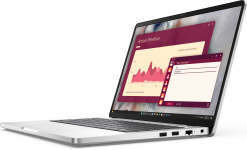 DELL Dell Pro 14