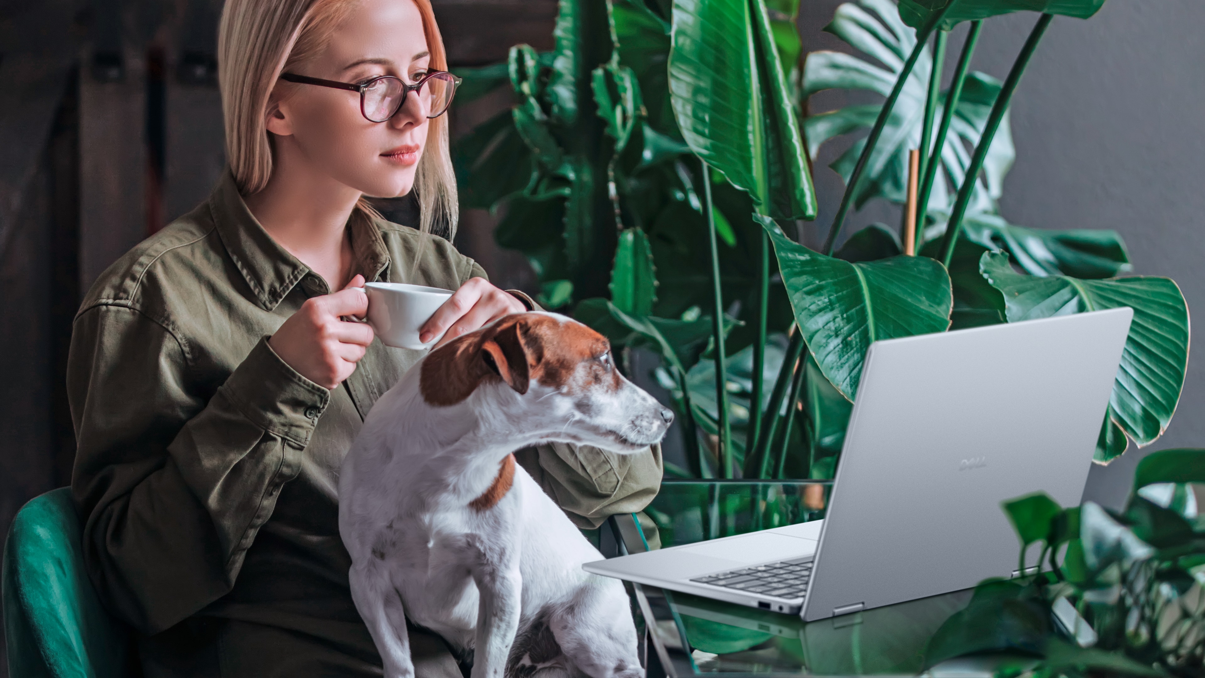Kobieta pijąca kawę siedząca z psem i korzystająca z notebooka dotykowego Dell 14 Plus 2 w 1.