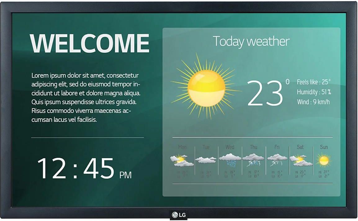 LG Electronics 22SM3G