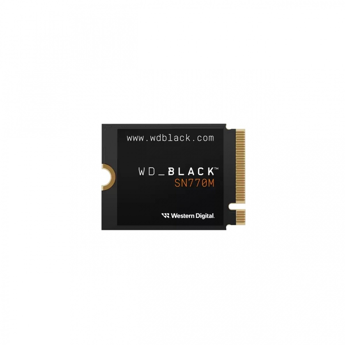 Western Digital DGWDCWPT10T3X0G