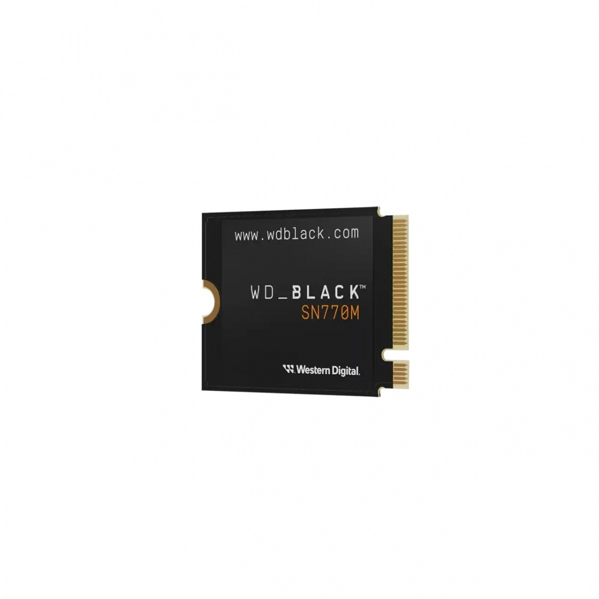 Western Digital DGWDCWPT10T3X0G