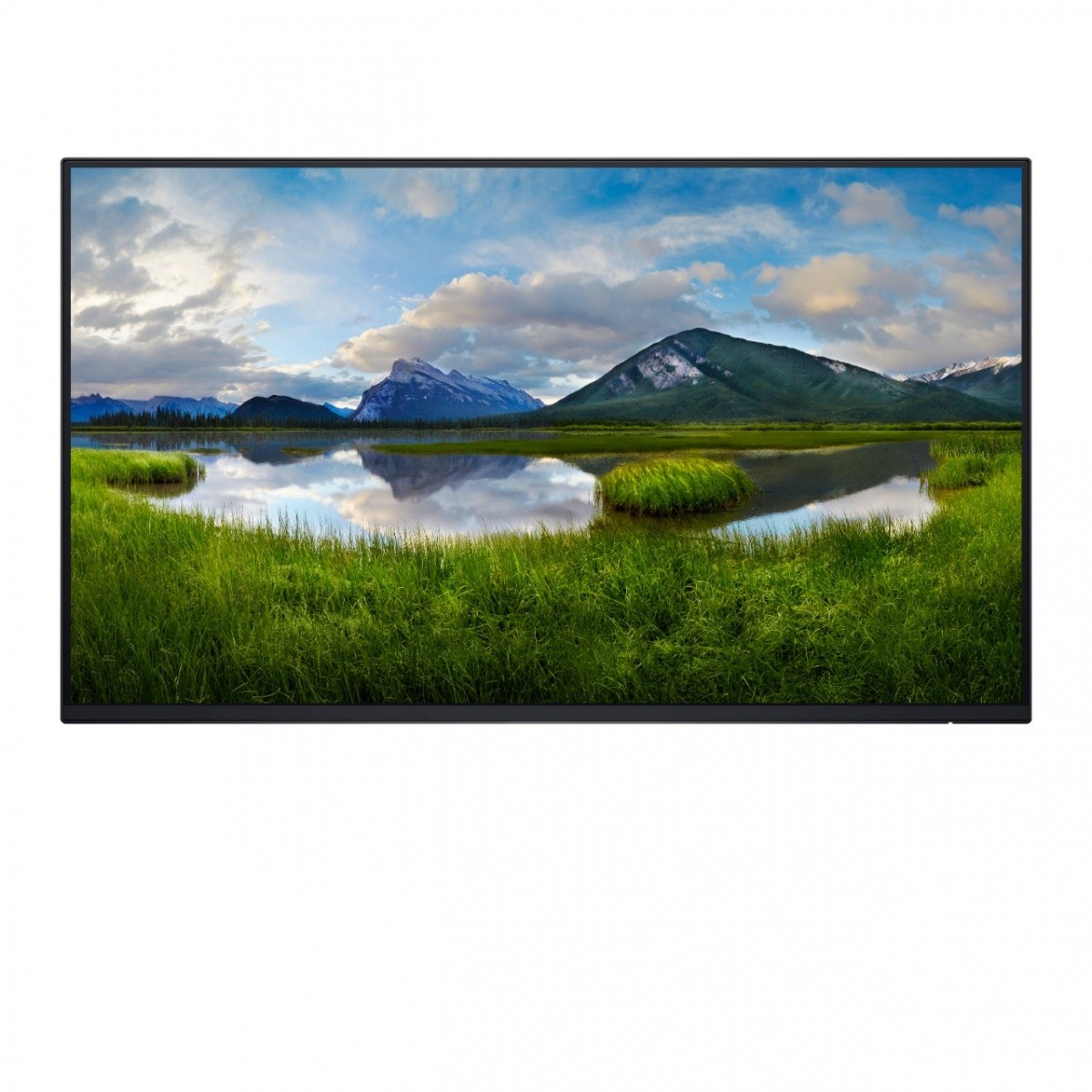 DELL UPDEL24L0000P40