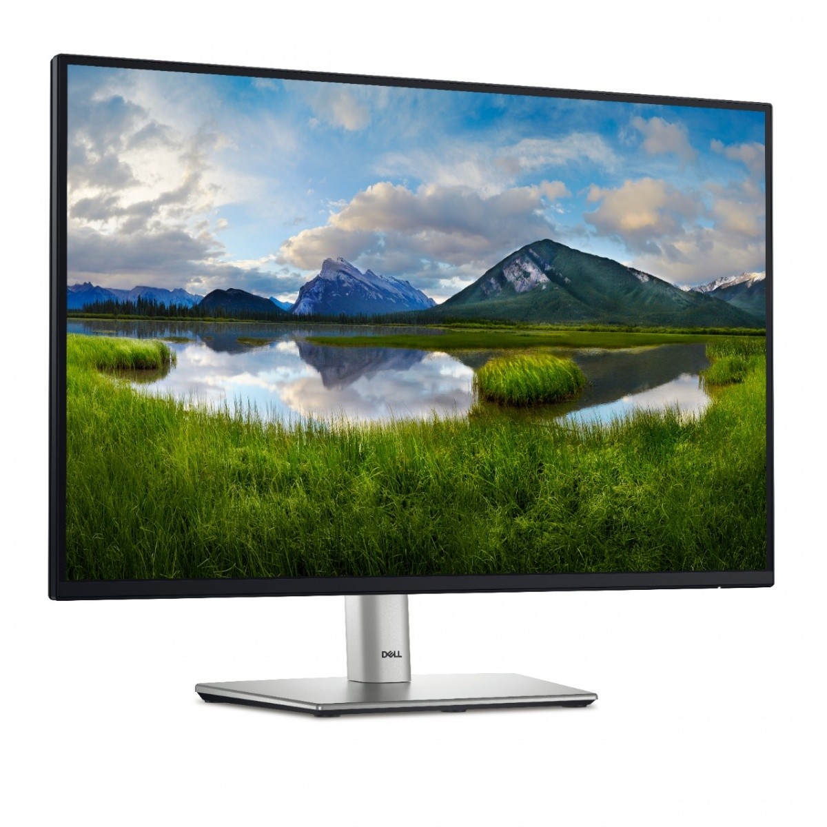 DELL UPDEL24L0000P42
