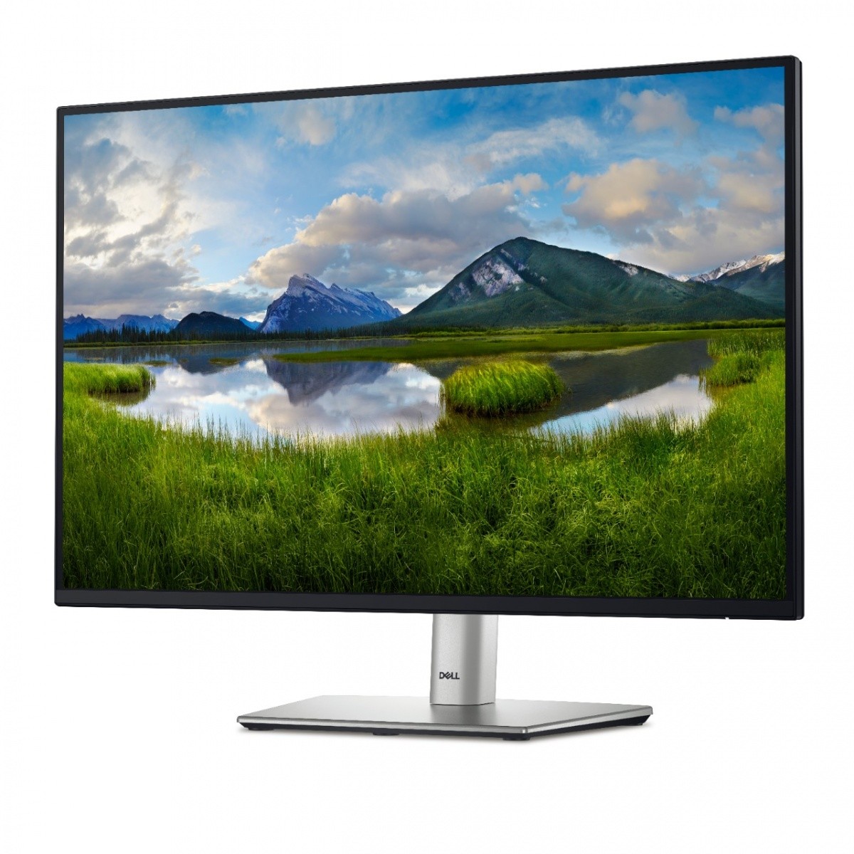 DELL UPDEL24L0000P42