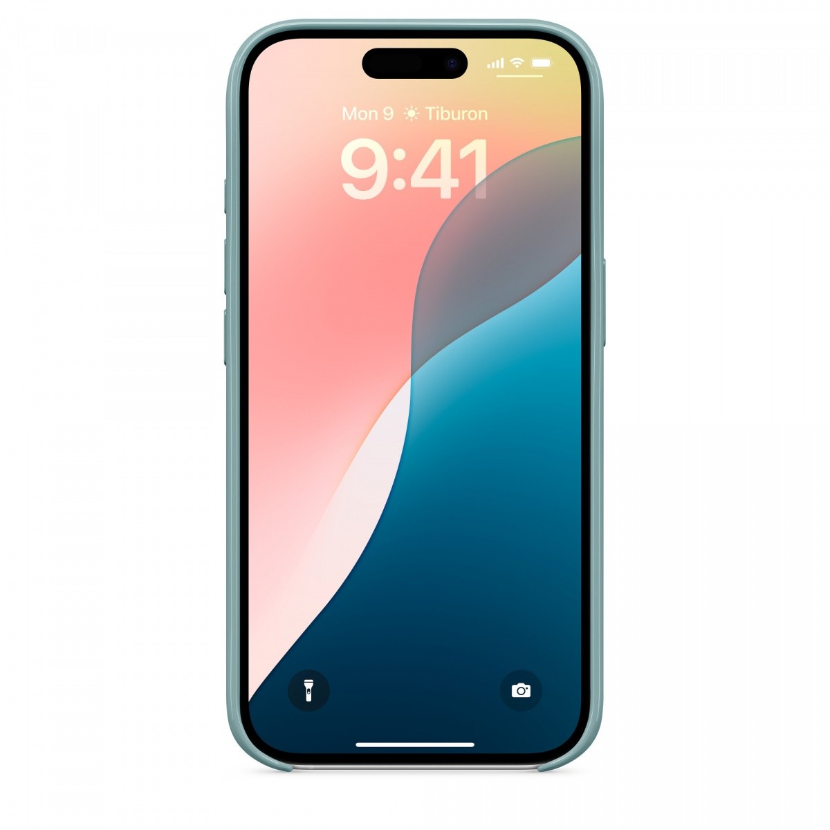 Apple AOAPPTF16RMCFE4