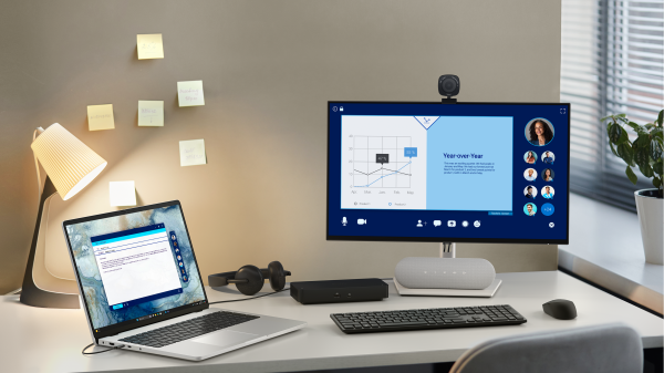 Obraz ekosystemu w biurze dużej firmy